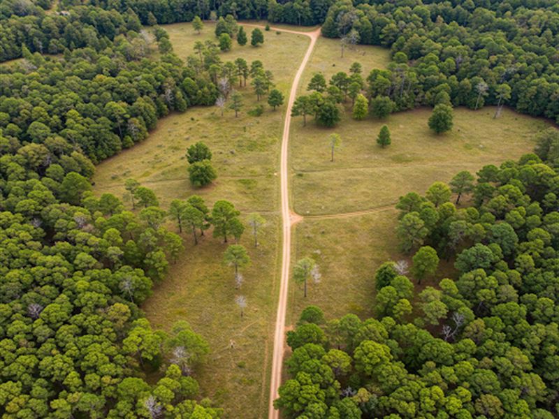 47.88 Acres Bradford, Ar, Ofa : Bradford : Independence County : Arkansas
