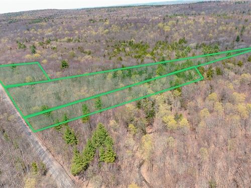 Large Parcel in Camden and Florence : Camden : Oneida County : New York