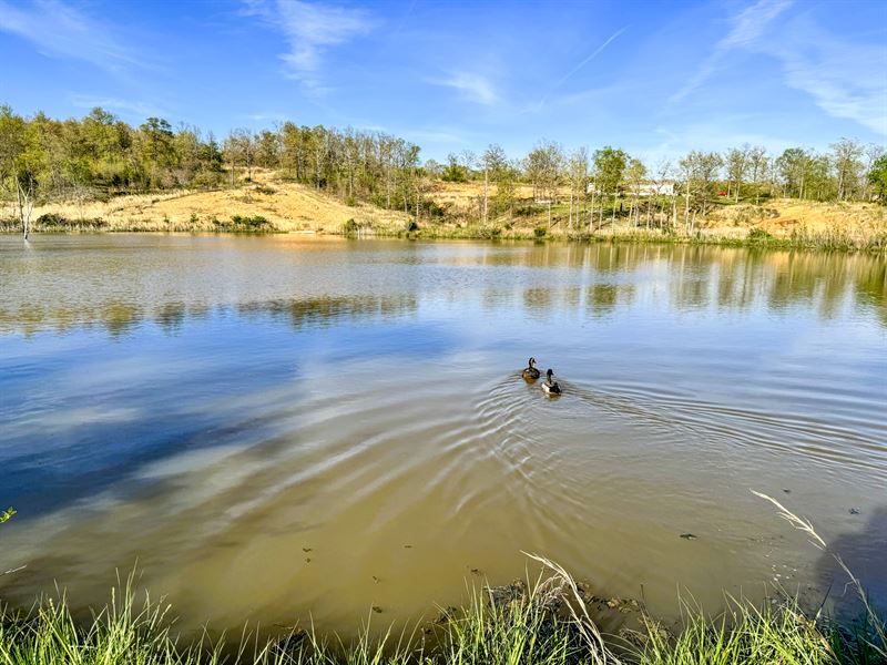 Fishing, Recreation, Country Home : Cabool : Texas County : Missouri