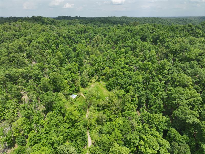 11 Acres in Lawrence County OH : South Point : Lawrence County : Ohio