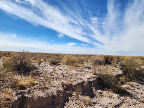 Build, Farm, or Invest : Joseph City : Navajo County : Arizona