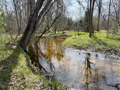 Weldon Creek 264 : Fountain : Mason County : Michigan
