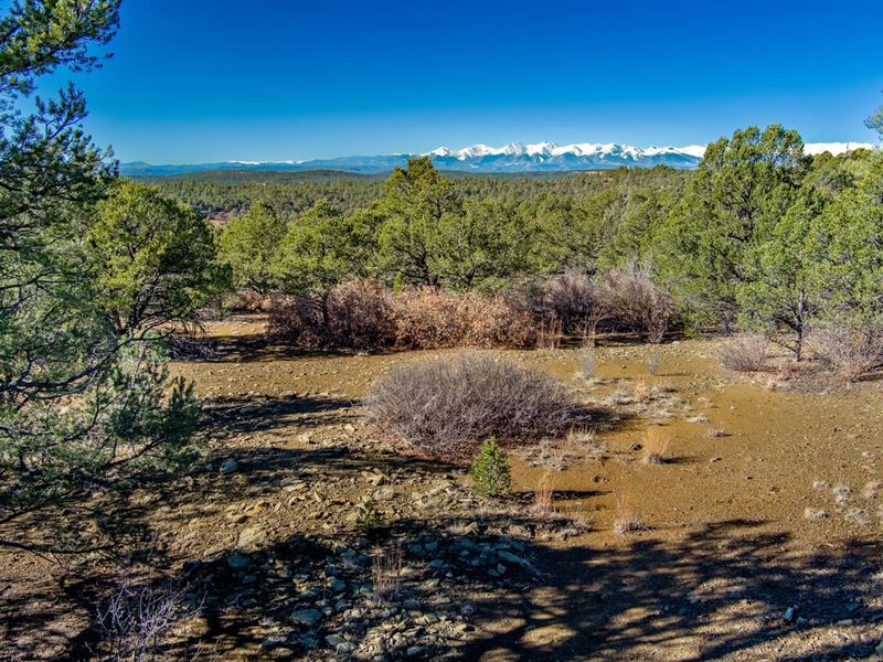 322 & 323 Rancho LA Garita 35 Acr : Weston : Las Animas County : Colorado