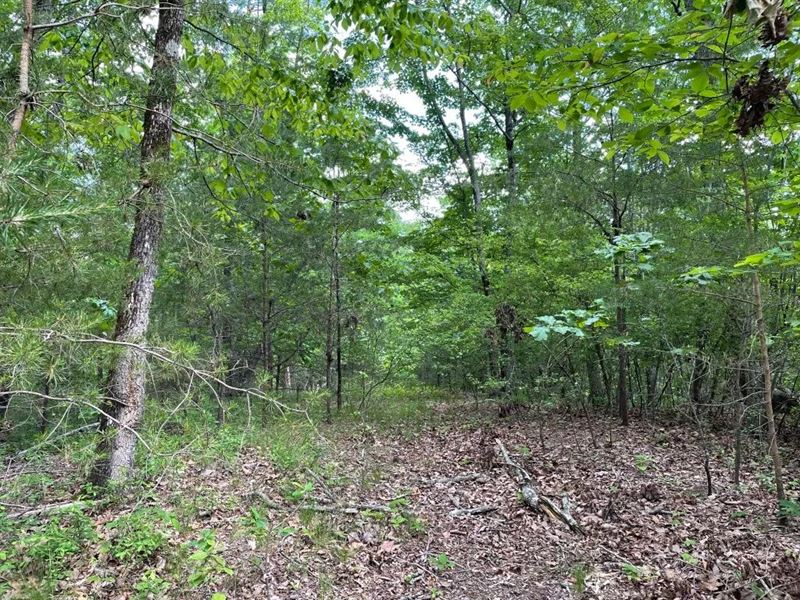 48.35 Acres On Anthony Road : Pickens : Pickens County : South Carolina