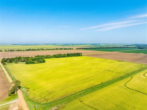 40 Acres, Row Crop With Home Si : Weiner : Poinsett County : Arkansas