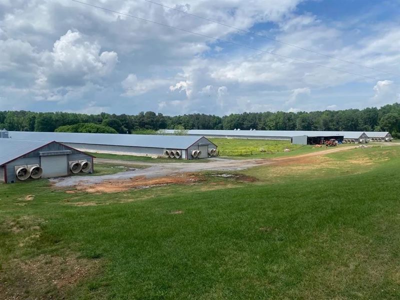 Poultry 4 House Breeder/Egg Farm Fo : Carthage : Leake County : Mississippi