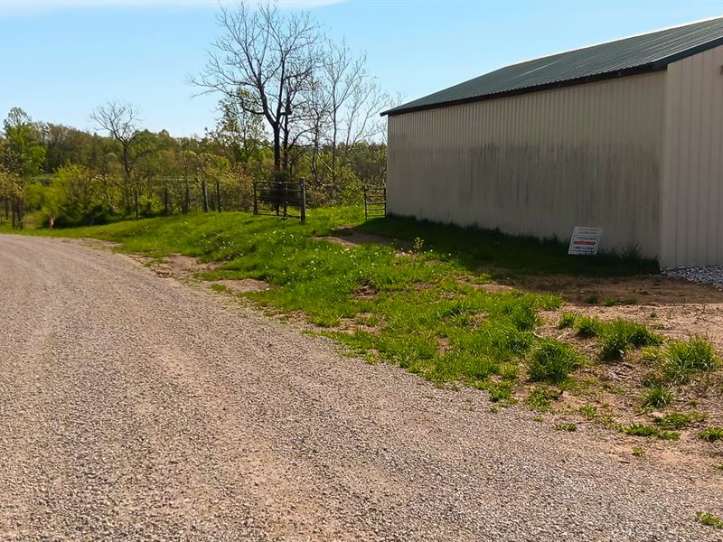 Tract 3 at Crown Wildlife Retreat : Crown City : Gallia County : Ohio