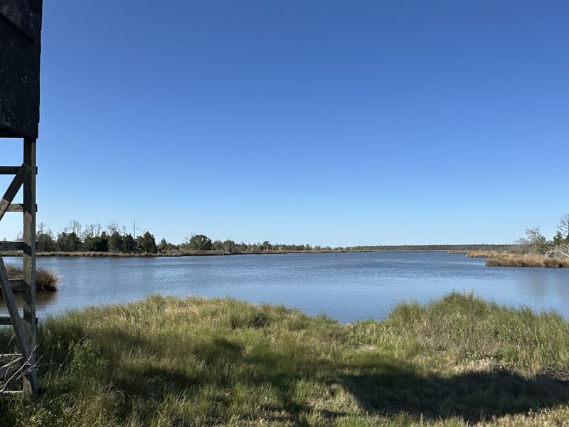 200-Ac Hunting & Waterfront Tract : Scranton : Hyde County : North Carolina