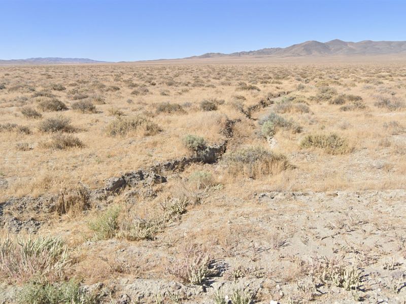 Blm and Hot Springs, Nature's Spa : Imlay : Pershing County : Nevada