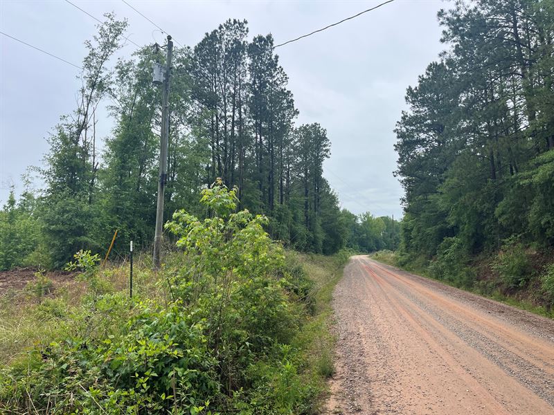 Middle Georgia Creek Frontage : Toomsboro : Wilkinson County : Georgia