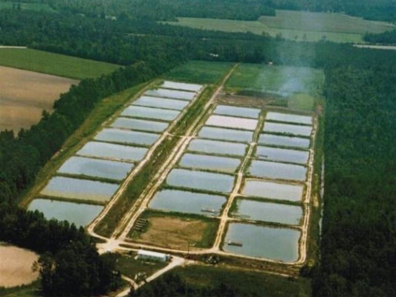 Fish Farm & Hatchery : Turkey : Sampson County : North Carolina