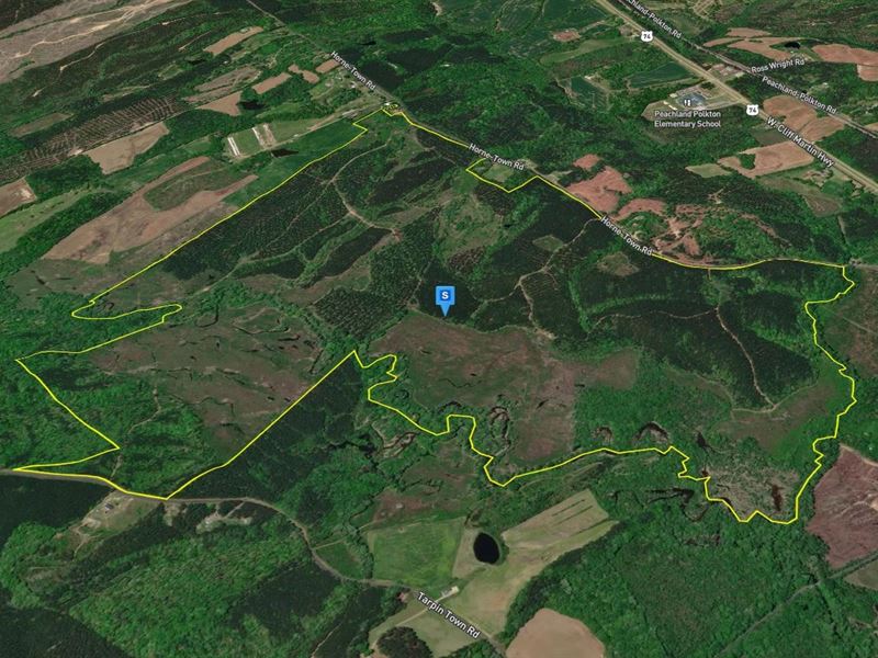 172 Acres in Anson County NC : Polkton : Anson County : North Carolina