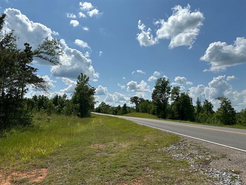 32 Acres on AL Highway 183 : Marion : Perry County : Alabama