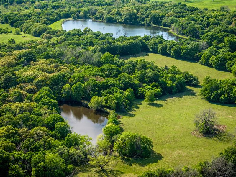 Brittany Hollow Ranch : Cottonwood : Kaufman County : Texas