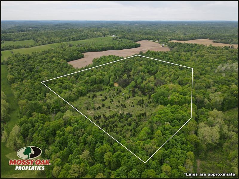 Secluded Homestead & Hunting Retrea : English : Orange County : Indiana