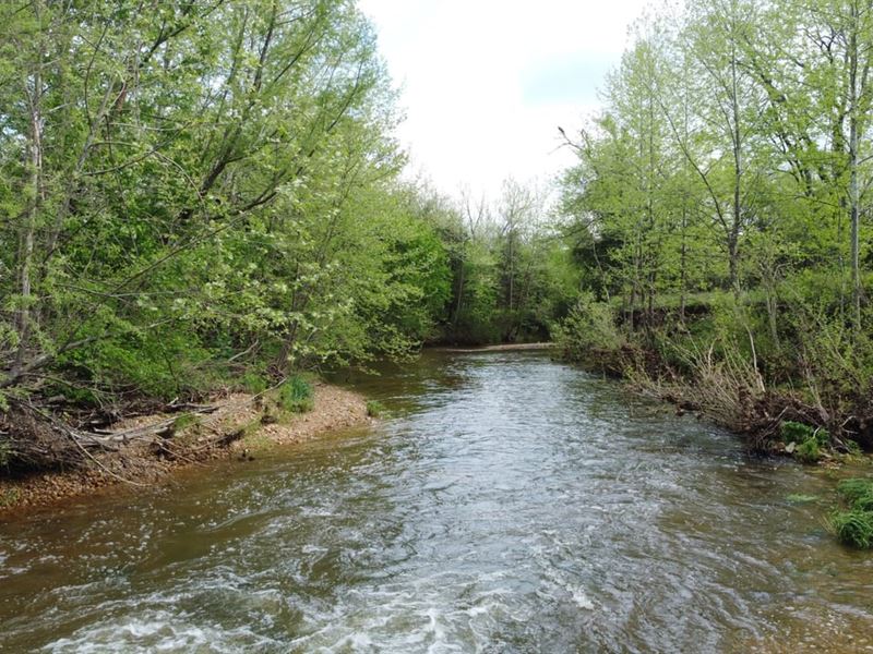 Scenic and Secluded, 29+ Acres : Marshfield : Webster County : Missouri