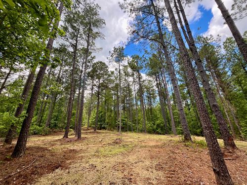 Rollin Mill Farm Tract 7, 7 Ac : Franklin : Heard County : Georgia