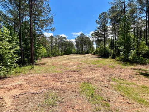 Rollin Mill Farm Tract 5, 11 Ac : Franklin : Heard County : Georgia