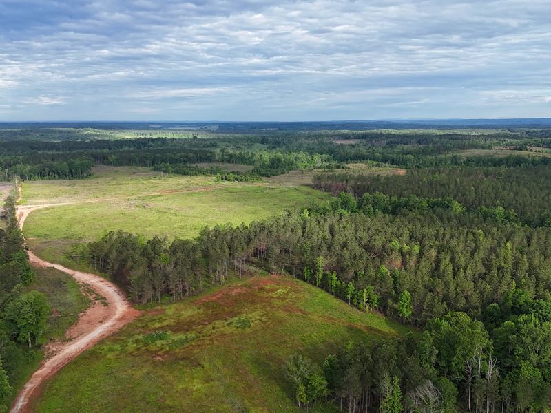 149 Acres, Pasture, Standing : Five Points : Chambers County : Alabama