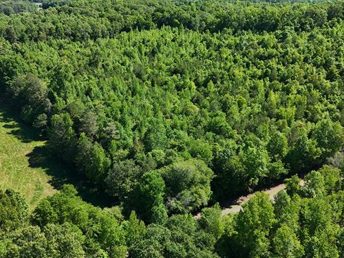 Lot 1 Gaylesville : Gaylesville : Cherokee County : Alabama