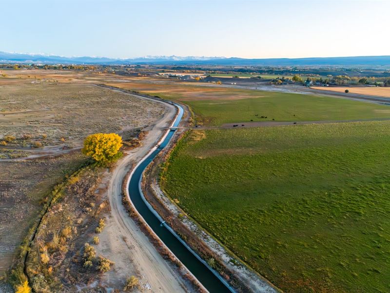 Montrose CO Cattle Ranch, Irrigated : Montrose : Montrose County : Colorado
