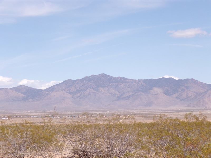 Build Dreams & Make Memories Here : Dolan Springs : Mohave County : Arizona