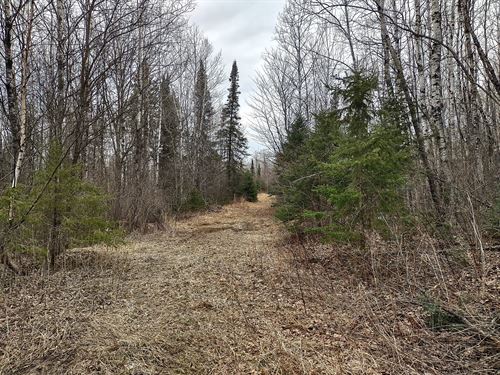 Wooded 240 Acres Michigan U.P. 5017 : Marenisco : Gogebic County : Michigan