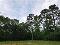 Versatile Timber Tract : Louisburg : Franklin County : North Carolina