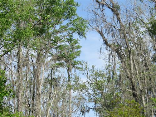 Hawks Ave 200 : Greenville : Madison County : Florida