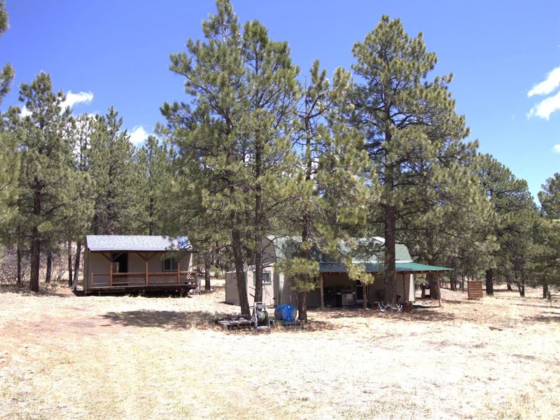 11081 Cimarron Drive, Weston, Co 81 : Weston : Las Animas County : Colorado