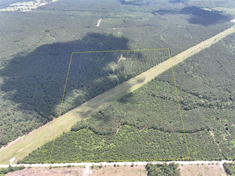 103 Acres, T-10, Friday Road : Groveton : Trinity County : Texas