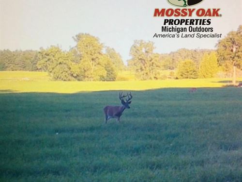 112 Acres 2628 W. Brewer Rd, Owosso : Owosso : Shiawassee County : Michigan