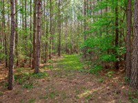 Mitchell Tract : Saluda : South Carolina