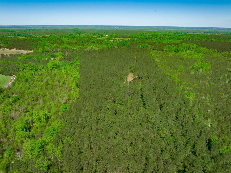 McCarty Tract : Saluda : Saluda County : South Carolina