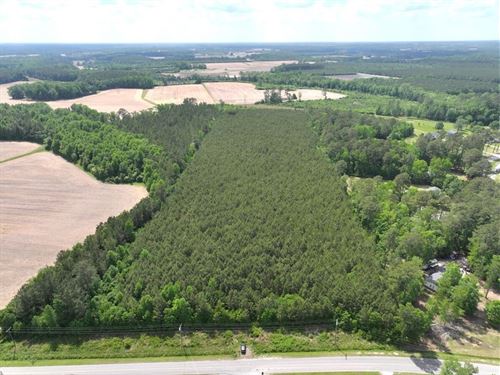 Updated, 17.19 Acres of Residentia : Williamston : Martin County : North Carolina