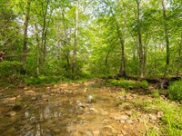 Stunning 80 Acres For Sale in Bo : Zalma : Bollinger County : Missouri