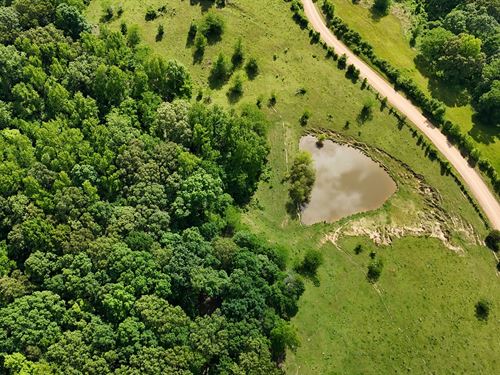 42.2 Acres In Panola County, MS : Crenshaw : Panola County : Mississippi