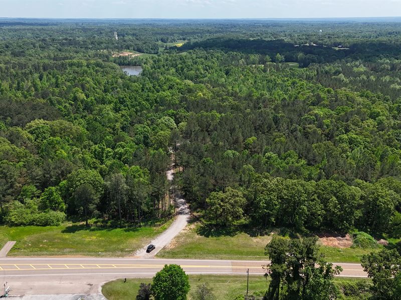 109.56 Acres in Hardeman County, TN : Toone : Hardeman County : Tennessee