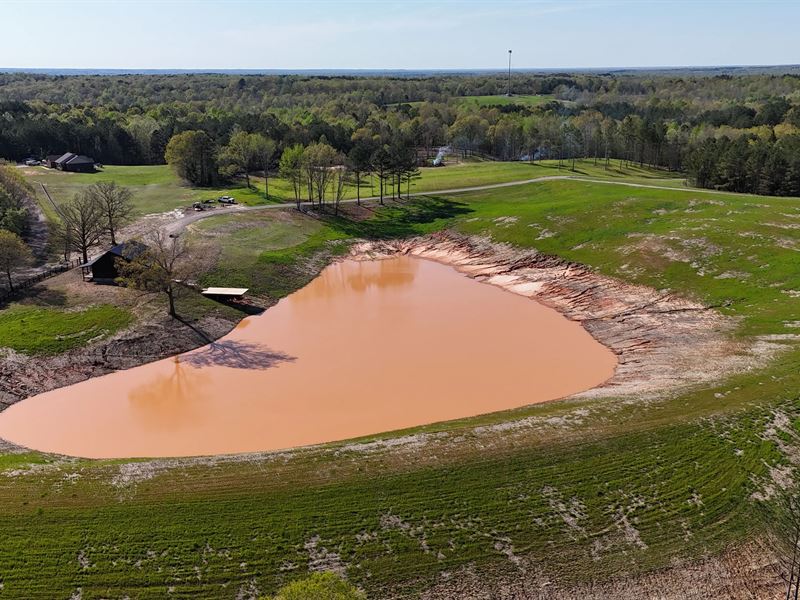 53.5 Acres with A Cabin in Hardeman : Toone : Hardeman County : Tennessee