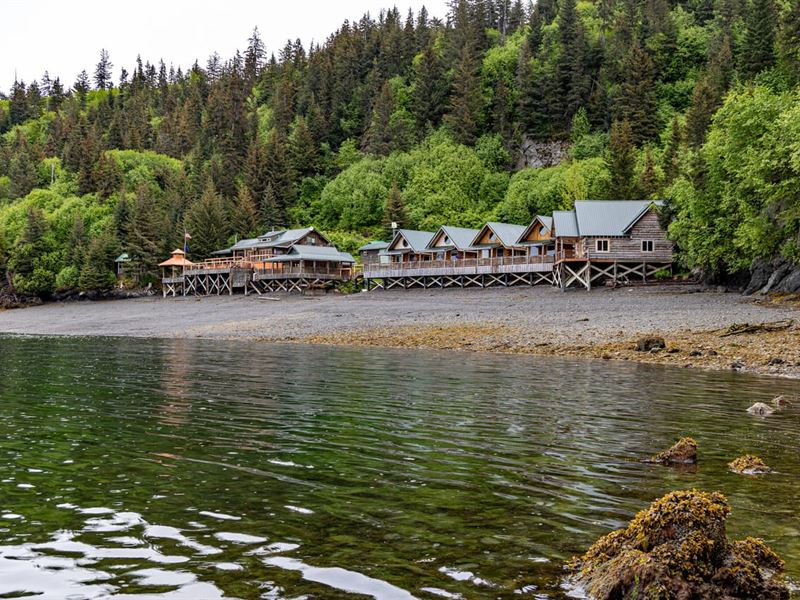 Cove Peaks Lodge, Alaska Wildernes : Homer : Kenai Peninsula Borough : Alaska