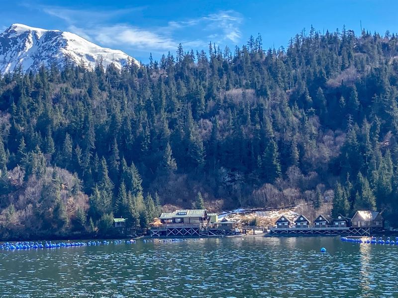 Cove Peaks Lodge, Alaska Wildernes : Homer : Kenai Peninsula Borough : Alaska