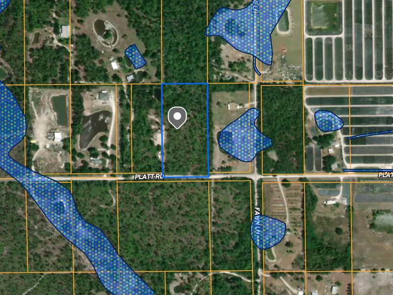Rare Lot in Golden Gate Estates : Naples : Collier County : Florida