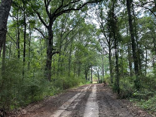 82 Acres Hwy 55/Cr107 : Red Level : Covington County : Alabama
