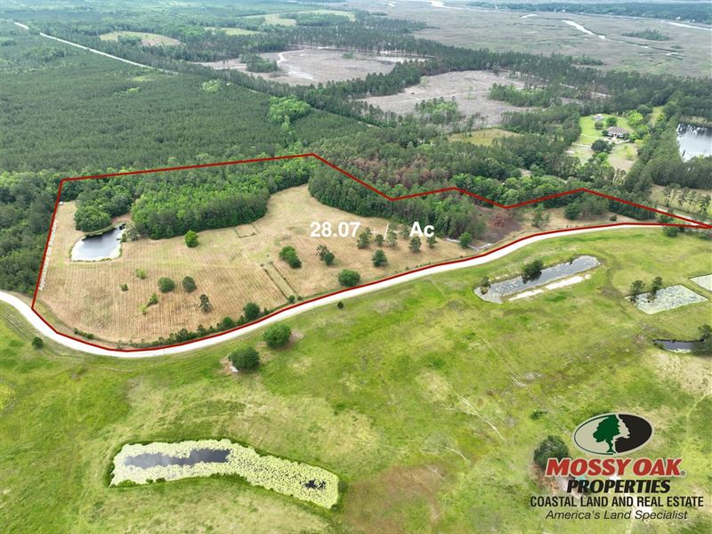 28 Ac Farm in Waverly, GA : Waverly : Camden County : Georgia