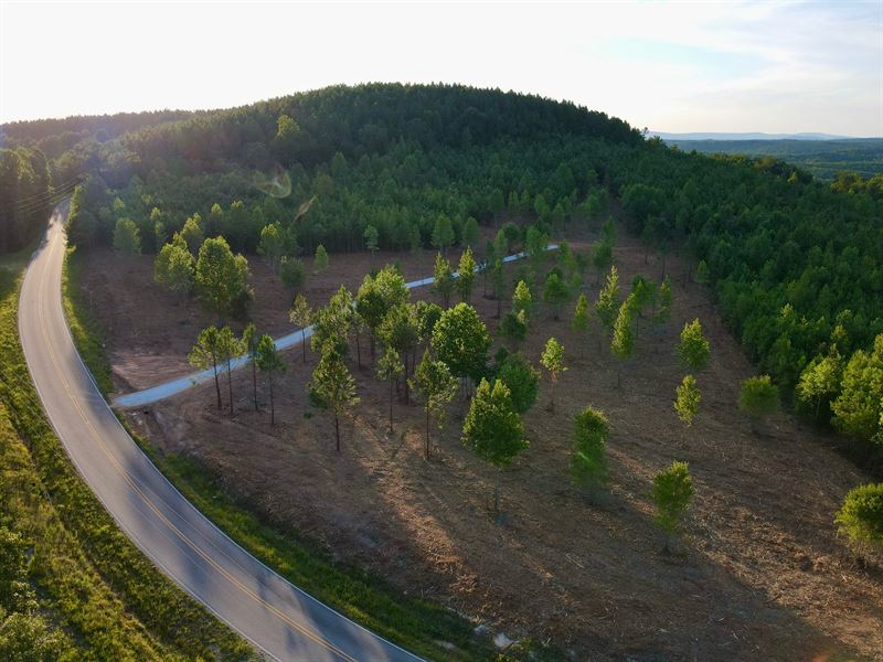 40 Acres Cragford, AL : Cragford : Clay County : Alabama