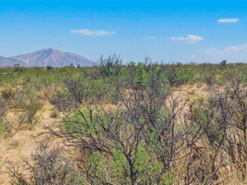 This Land is Your Land : Salt Flat : Hudspeth County : Texas