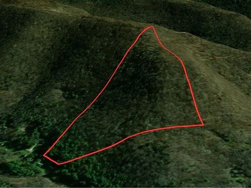 Potter County, Trout Brook Rd, 3 : Roulette : Potter County : Pennsylvania