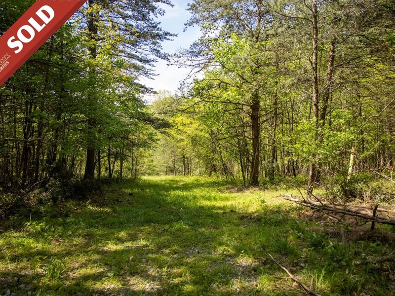 TR 262A, 11 Acres, Perry County : New Lexington : Perry County : Ohio