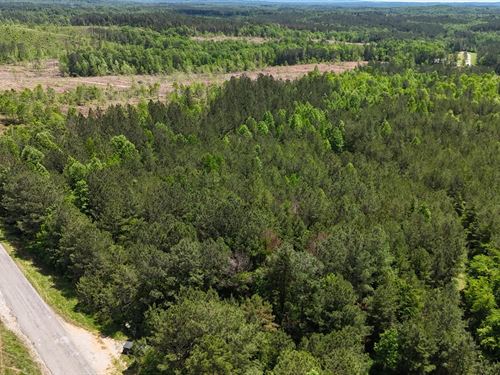 Lot 1 CR 40 Fruithurst, AL : Fruithurst : Cleburne County : Alabama