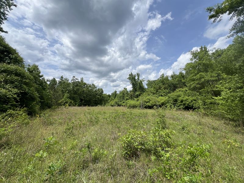 Awesome Opportunity Russell Co AL : Phenix City : Russell County : Alabama